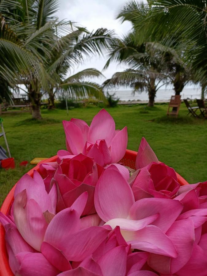 Nghi Duong Bien Ngoc Leilighet Phan Thiet Eksteriør bilde