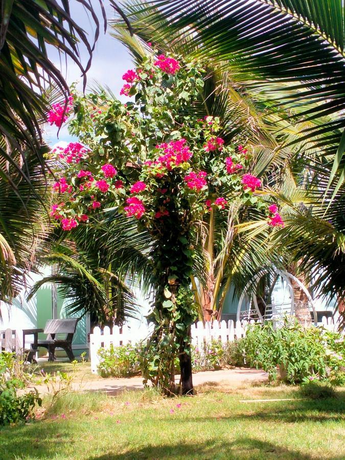 Nghi Duong Bien Ngoc Leilighet Phan Thiet Eksteriør bilde